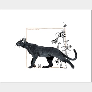 ORIENTAL SHORTHAIR Posters and Art